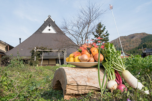 野菜の収穫体験（無料）